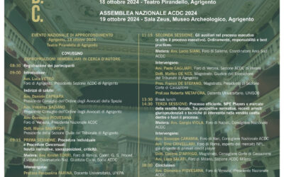 Assemblea Nazionale ACDC
